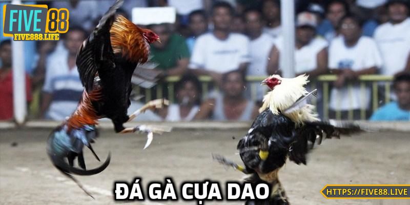 Tổng quan về đá gà cựa dao tại FIVE88
