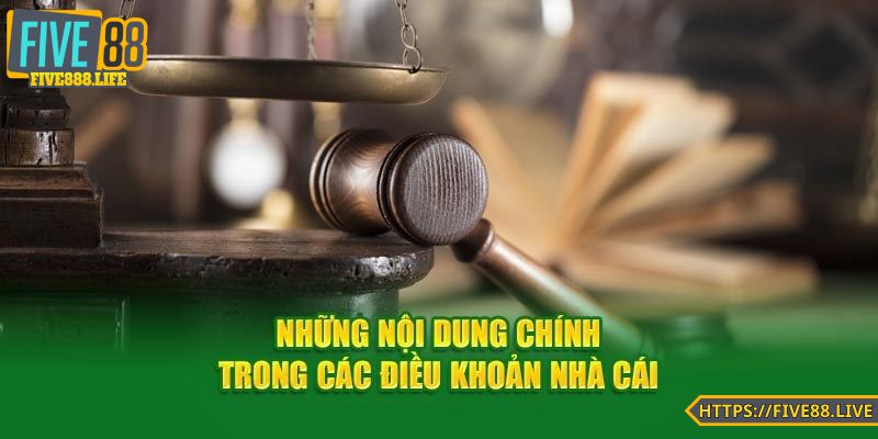 Hiểu rõ vấn đề điều khoản cùng điều kiện tại nhà cái