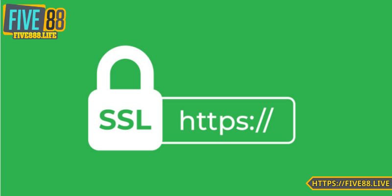Bảo mật SSL từ quốc tế uy tín rõ ràng