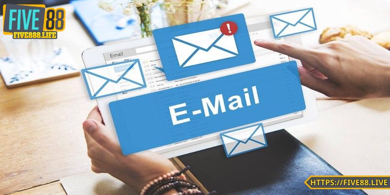 Phản hồi chi tiết cụ thể qua email của sân chơi