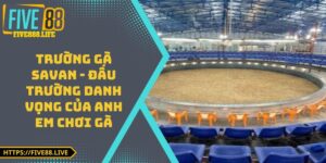 Trường Gà Savan - Đấu Trường Danh Vọng Của Anh Em Chơi Gà