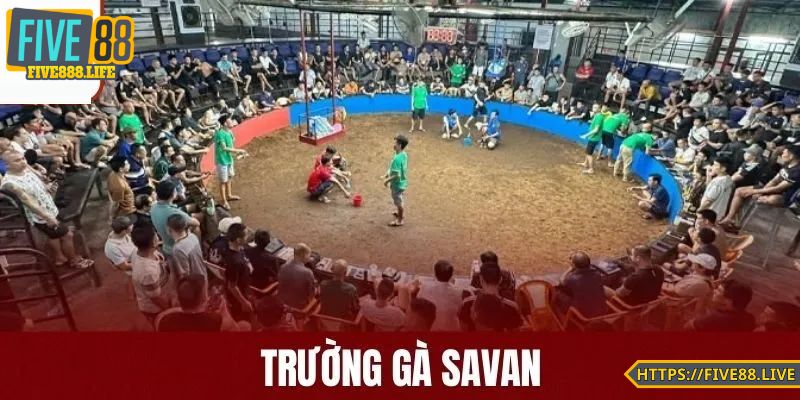 Cược minh bạch và trả tiền thưởng nhanh chóng