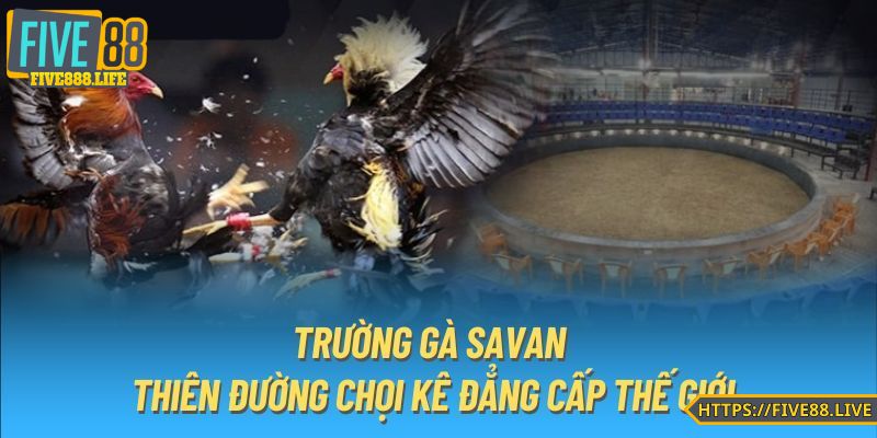 Đấu trường quốc tế uy tín khi bet thủ tham gia